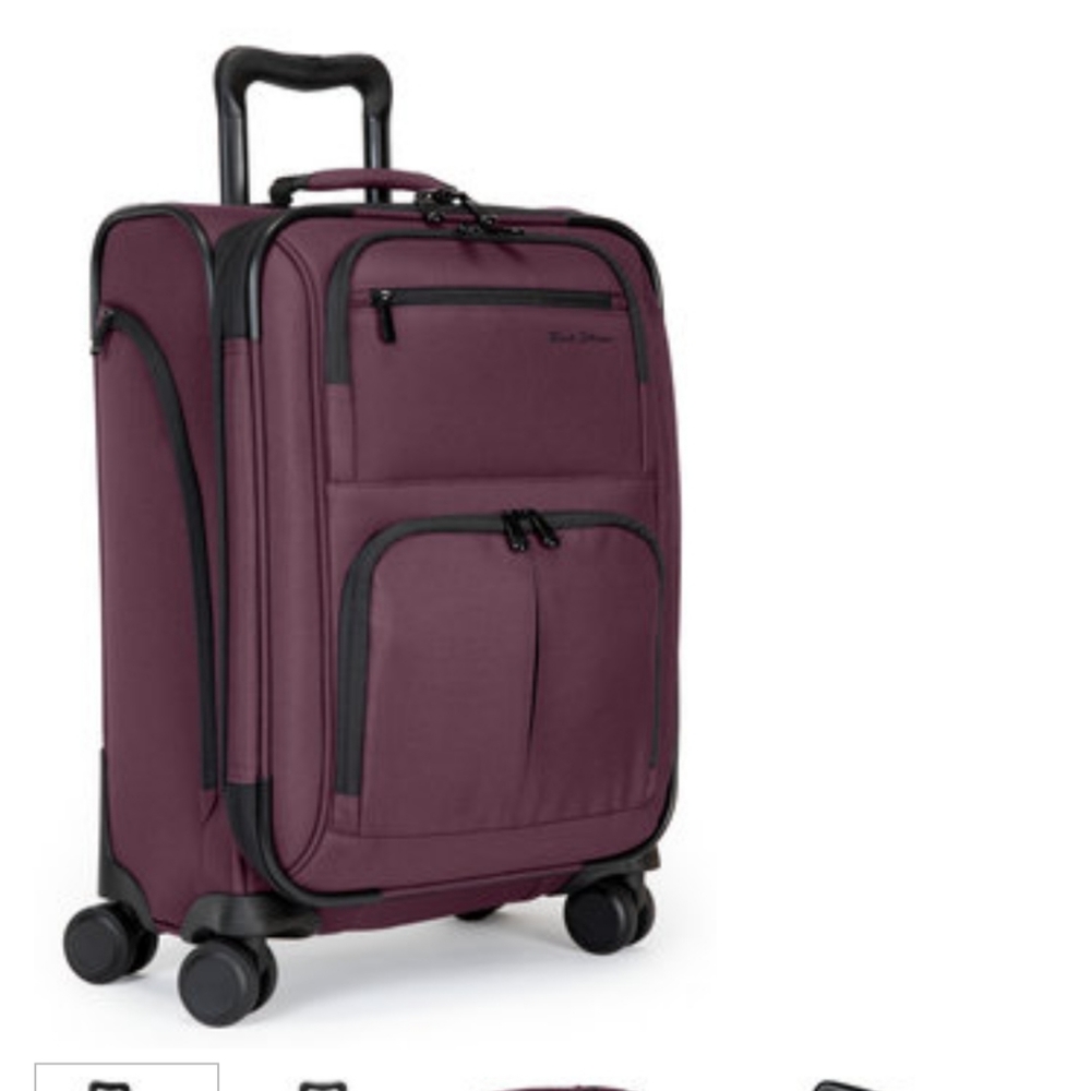 Rick Steves Spinner Carry On (international size) in Plum